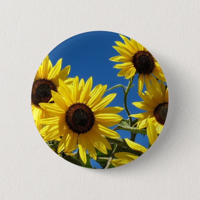 Sunflowers 6 Cm Round Badge (Front)