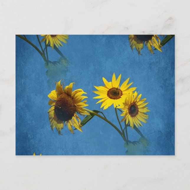 Sunflowers Abstract Postcard (Front)