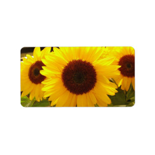 Sunflowers Address Label