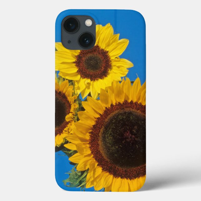 Sunflowers against blue fence Case-Mate iPhone case (Back)