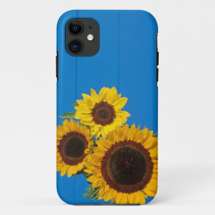 Sunflowers against blue fence iPhone 11 case