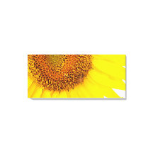 Sunflowers And Bees Canvas Print
