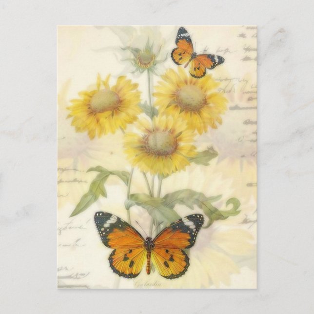 Sunflowers and butterfly postcard (Front)