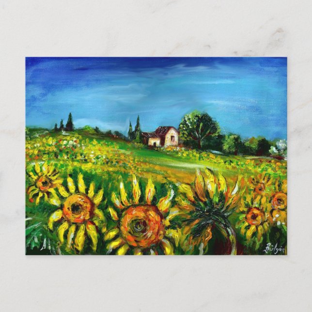 SUNFLOWERS AND COUNTRYSIDE IN TUSCANY POSTCARD (Front)