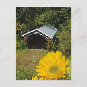 Sunflowers and Cover bridge Postcard