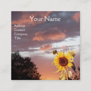 SUNFLOWERS AND PINK SUMMER SUNSET SQUARE BUSINESS CARD