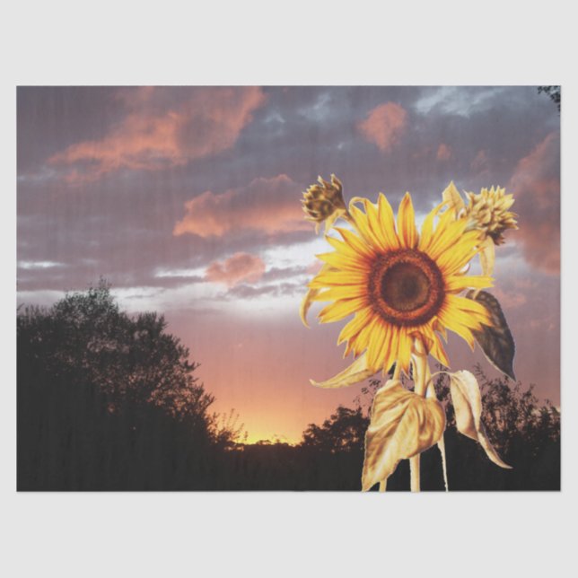 SUNFLOWERS AND SUMMER SUNSET TISSUE PAPER (Front)