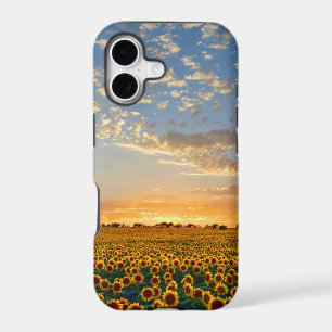 Sunflowers at Sunset