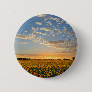 Sunflowers at Sunset 6 Cm Round Badge