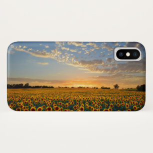 Sunflowers at Sunset iPhone X Case
