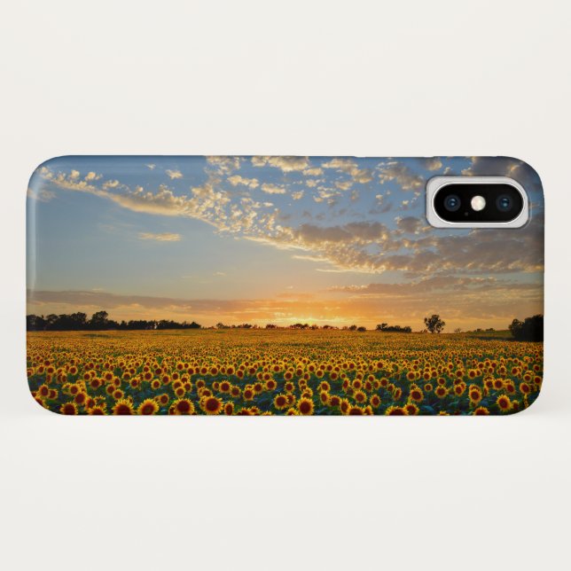 Sunflowers at Sunset Case-Mate iPhone Case (Back (Horizontal))
