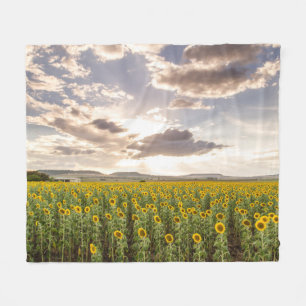 Sunflowers at Sunset Fleece Blanket