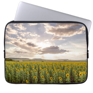 Sunflowers at Sunset Laptop Sleeve