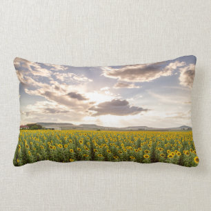 Sunflowers at Sunset Lumbar Cushion