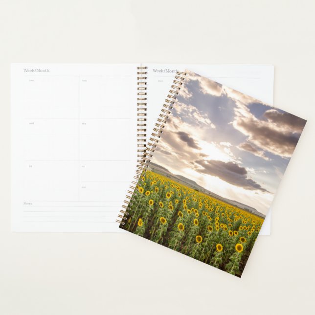 Sunflowers at Sunset Planner (Display)