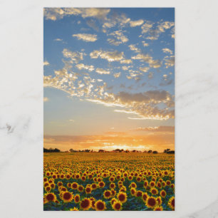 Sunflowers at Sunset Stationery