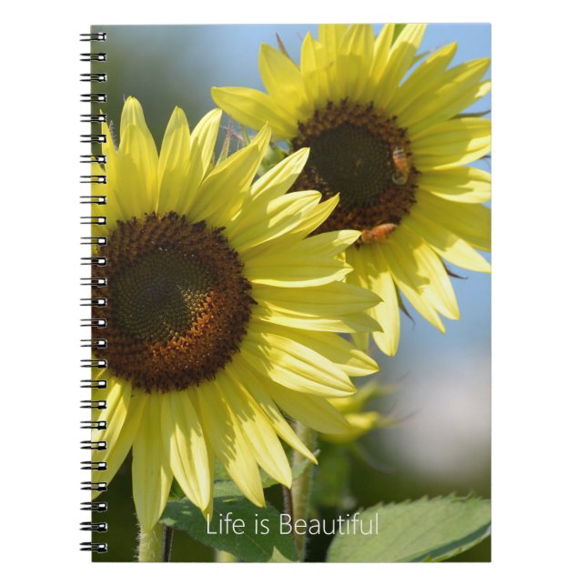 Sunflowers Bees (my photography) Notebook (Front)