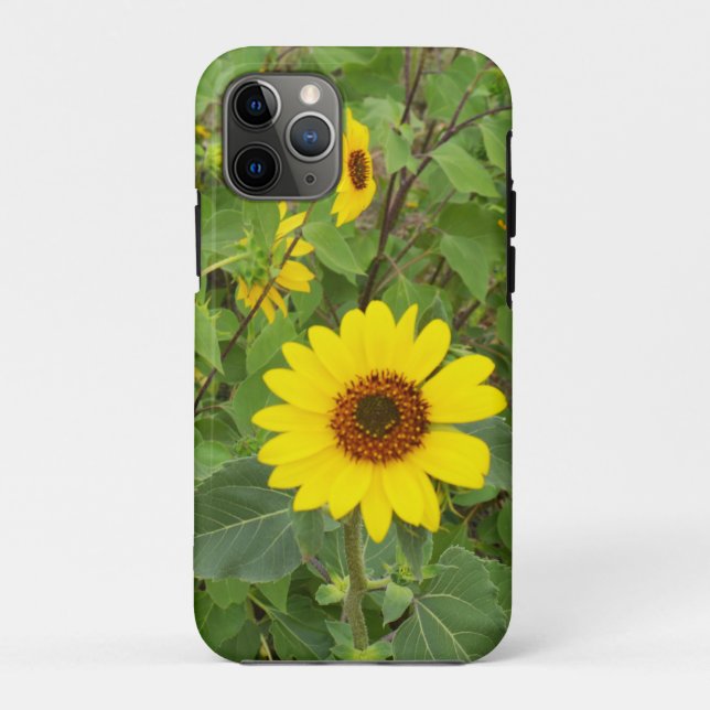 Sunflowers Blowing In The Wind,   Case-Mate iPhone Case (Back)