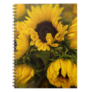 Sunflowers Blur Notebook