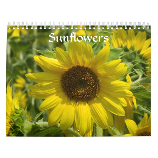 Sunflowers  calendar (Cover)