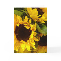 Sunflowers