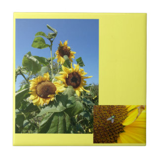 Sunflowers Ceramic Tile
