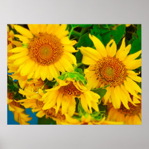 Sunflowers City Market KC Farmer's Market Poster