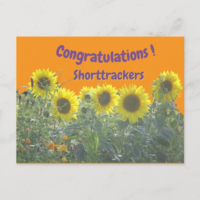 Sunflowers Congratulations Cust. Text Postcard (Front)