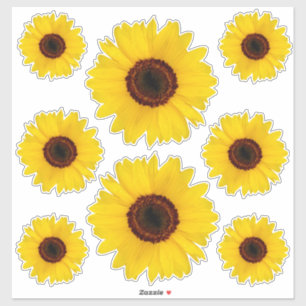 Sunflowers Contour Sticker Bonus