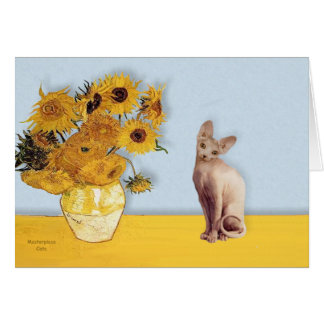 Sunflowers - Cream Sphyx cat