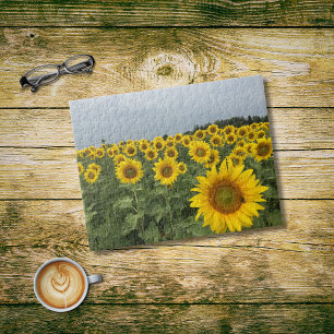 Sunflowers Field Harvest Country Photo Jigsaw Puzzle