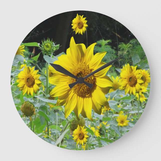Sunflowers Field & Sunflower Wall Clock (Front)