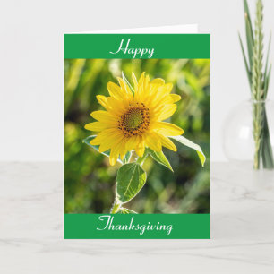 SUNFLOWERS FOR A "HAPPY THANKSGIVING" WISH HOLIDAY CARD