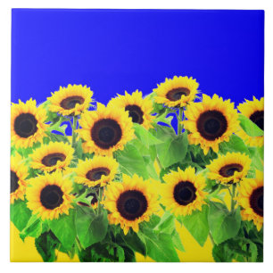 Sunflowers - Freedom Ukraine Peace Ukrainian Flag Ceramic Tile
