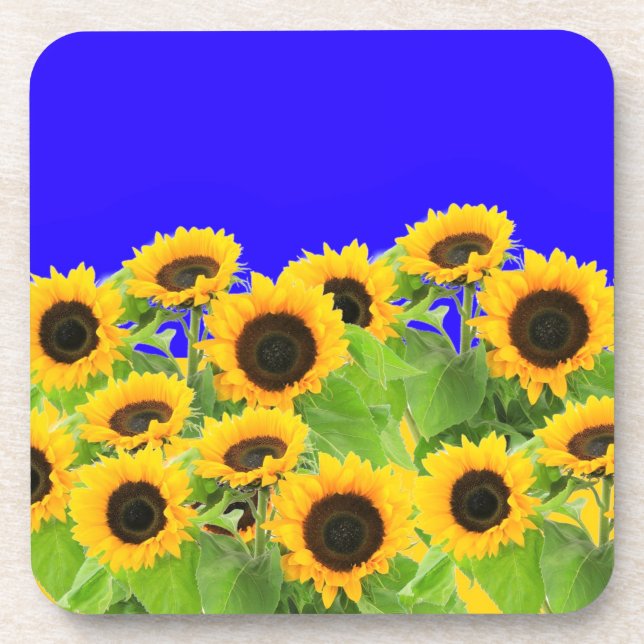Sunflowers - Freedom Ukraine Peace Ukrainian Flag  Coaster (Front)
