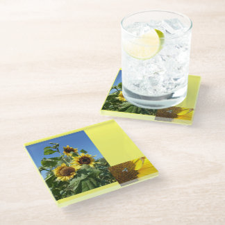Sunflowers Glass Coaster