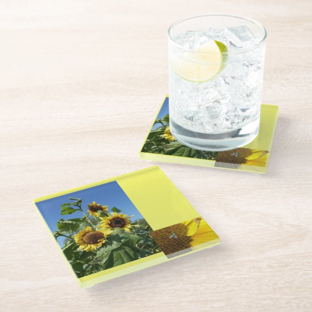 Sunflowers Glass Coaster (Angled)