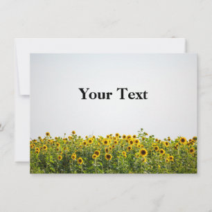 Sunflowers in a Field Invitation