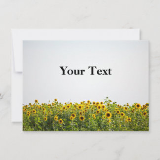 Sunflowers in a Field Invitation