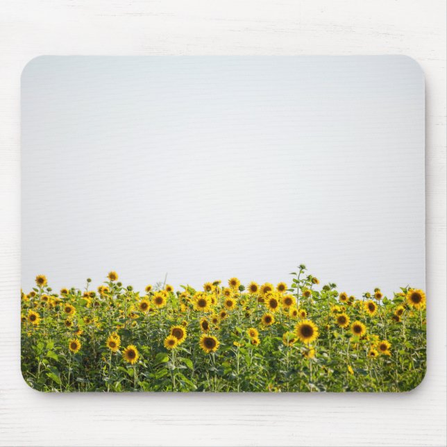 Sunflowers in a Field Mouse Pad (Front)