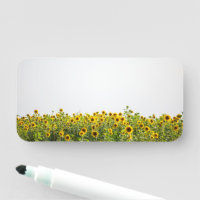 Sunflowers in a Field