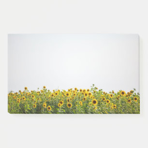 Sunflowers in a Field Post-it Notes