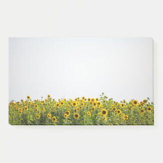 Sunflowers in a Field Post-it Notes