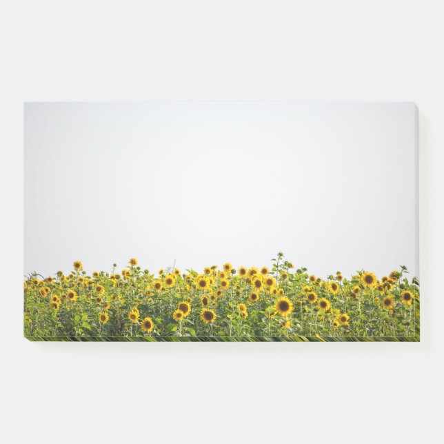 Sunflowers in a Field Post-it Notes (Front)