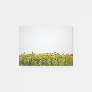 Sunflowers in a Field Post-it Notes
