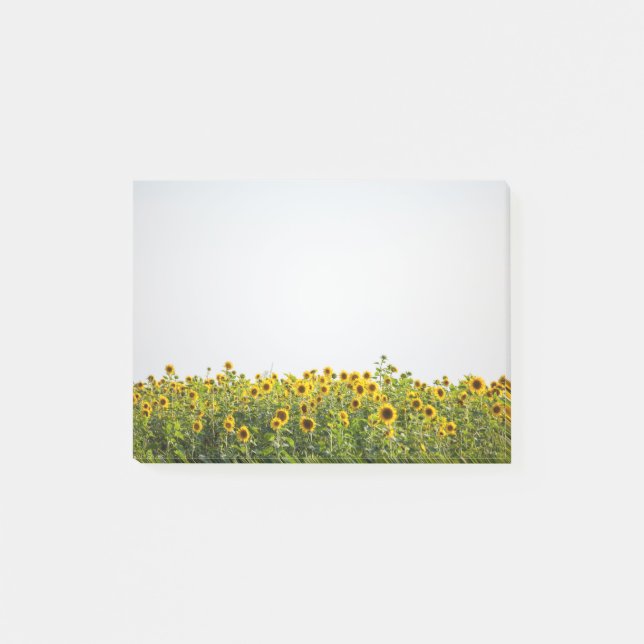 Sunflowers in a Field Post-it Notes (Front)