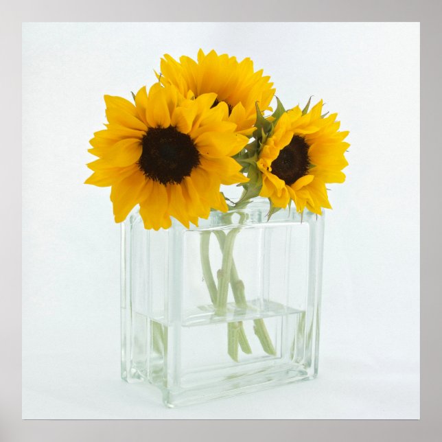 Sunflowers in a Vase poster (Front)