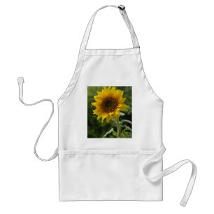 Sunflowers In Field Standard Apron