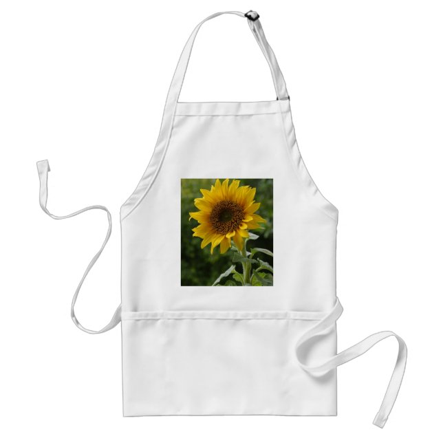 Sunflowers In Field Standard Apron (Front)