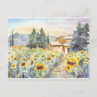 Sunflowers In Provence Postcard